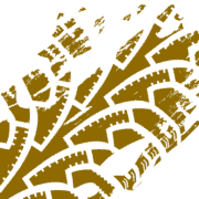 Anything Off-Road logo