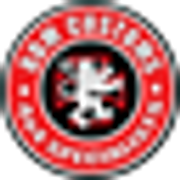 BDM Customs logo