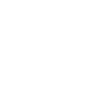 RADICA Products logo