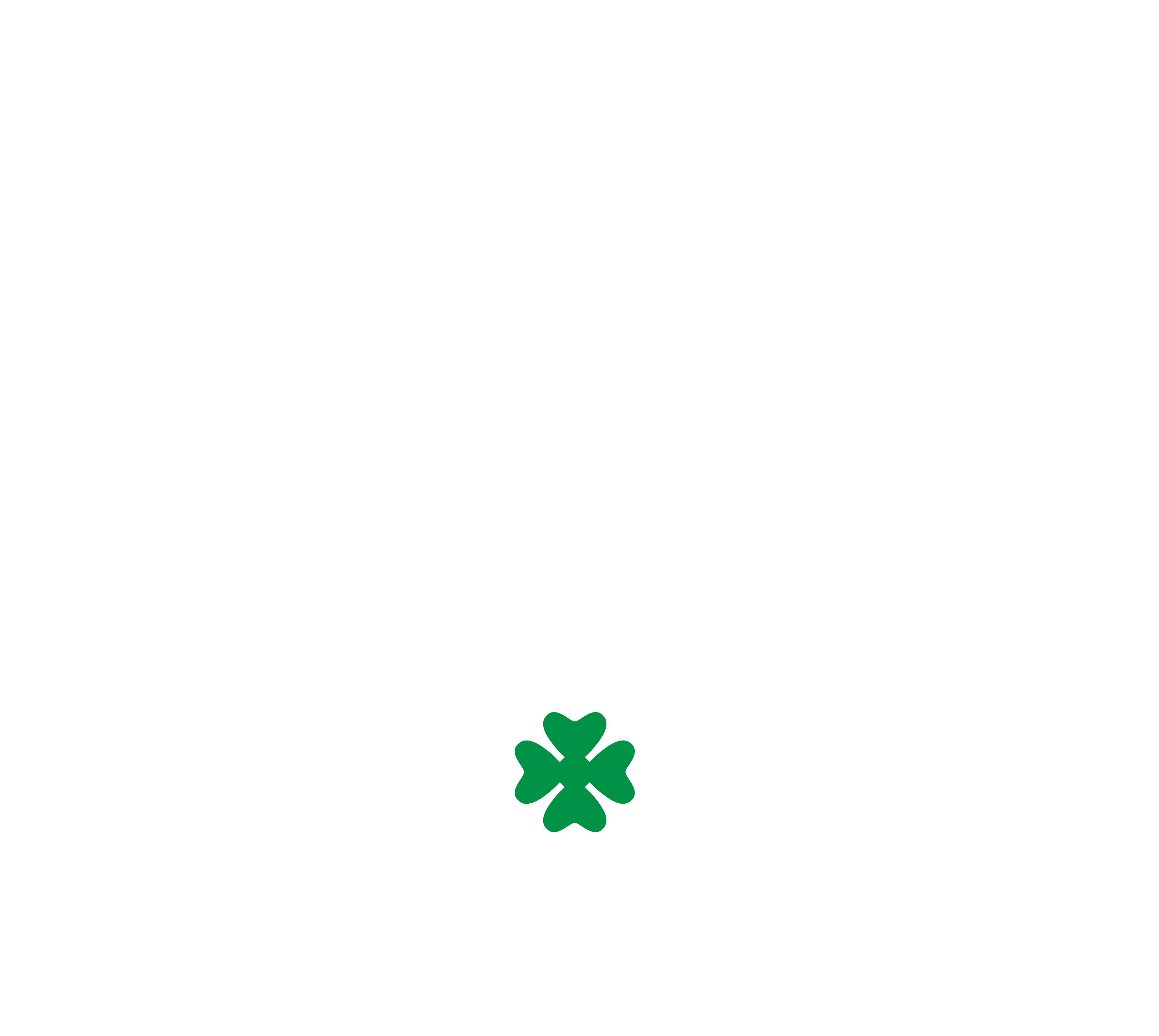 Shannon's Broncos logo