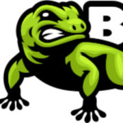 Bad Gecko Off Road logo
