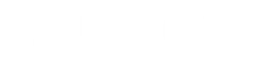 CT Customs logo